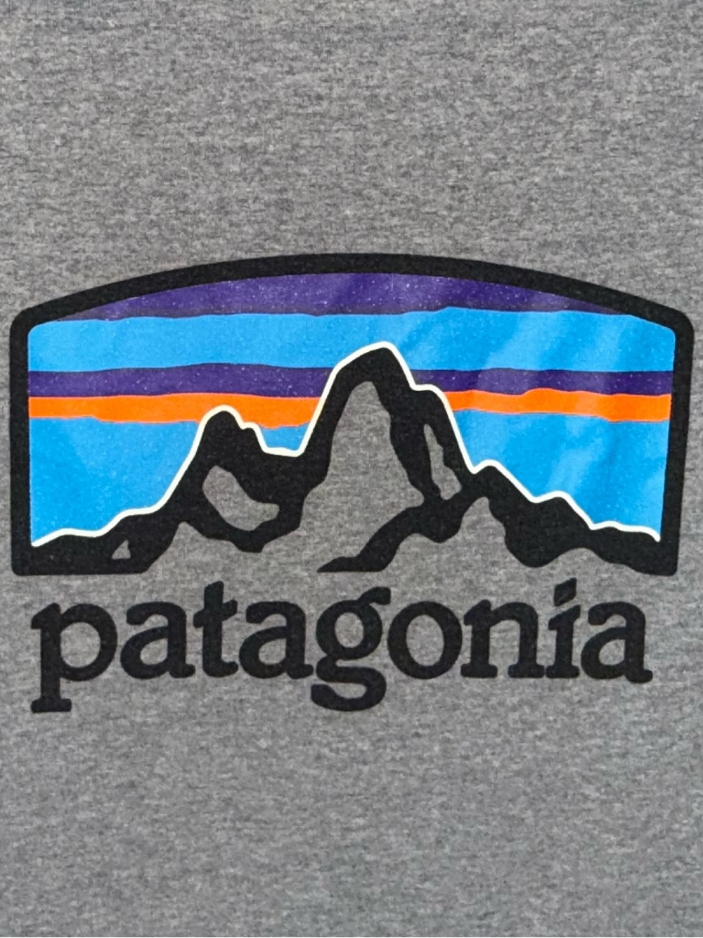 Patagonia Gray Interior Label Tee with Subtle Black Print - Picture 2 of 9
